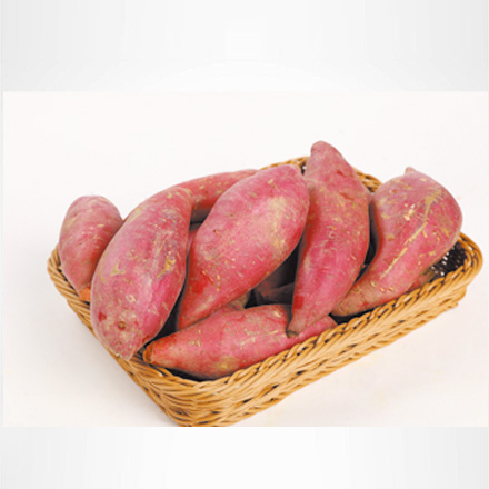 產(chǎn)品中心標(biāo)題八